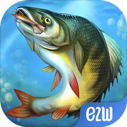 b33体育app