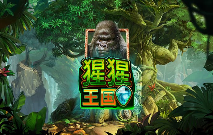 金贝体育官方网站